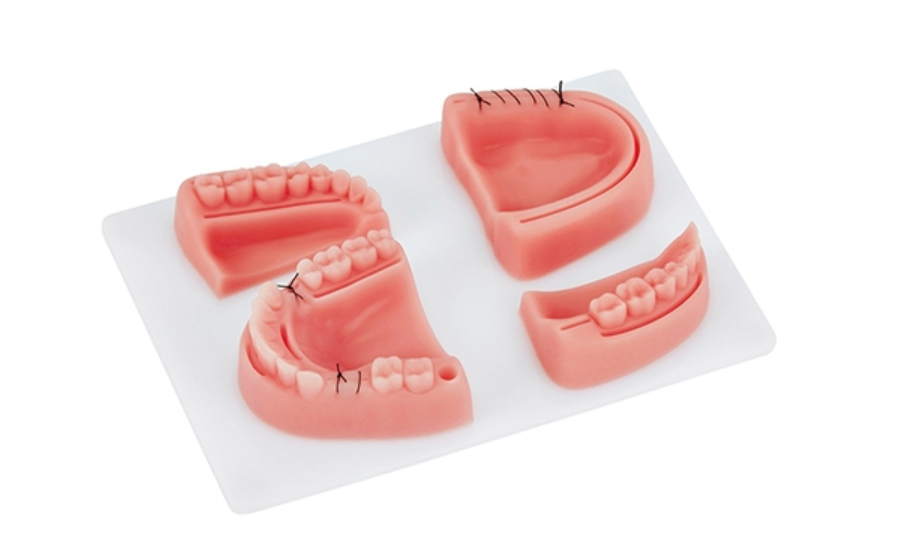 4 mô-đun Miếng khâu vết thương silicone nướu Sinh viên y khoa Cấy ghép Miếng thực hành khâu